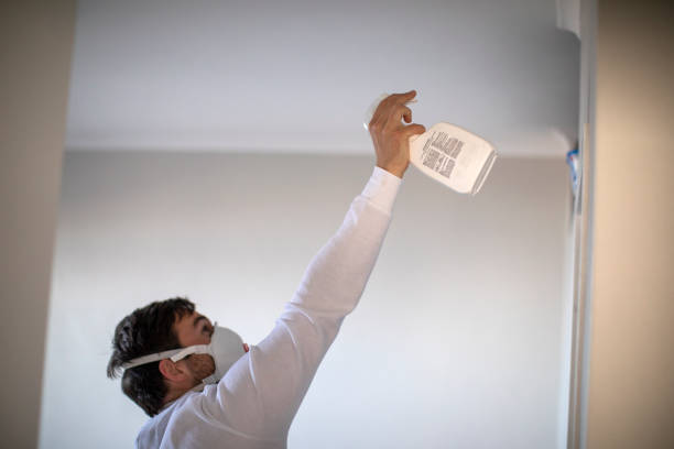 Glencoe, IL Mold Removal Company