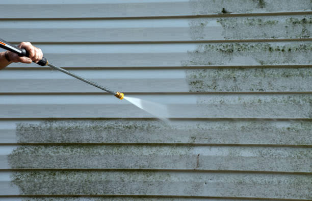 Mold Testing and Removal in Glencoe, IL